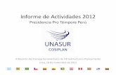 Informe de Actividades 2012 - I.I.R.S.A · 2013. 4. 22. · Informe de Actividades 2012 ... Lima, 16 de noviembre de 2012. 2012 Un Año de Trabajo Productivo 12 Países de América