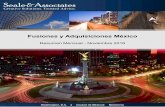 Fusiones y Adquisiciones Méxicomnamexico.com/.../uploads/2017/01/Reportes-Mensuales-MA-Novie… · Resumen de Fusiones y Adquisiciones en México México F&A noviembre 2016 La industria