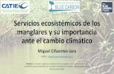 Servicios ecosistémicos de los manglares y su importancia ... · Servicios ecosistémicos de los manglares y su importancia ante el cambio climático Miguel Cifuentes-Jara CATIE