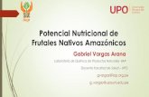 Potencial Nutricional de Frutales Nativos Amazónicos · importante a los frutales nativos como recurso vital para las sociedades amazónicas , pues constituye fuente de primer nivel