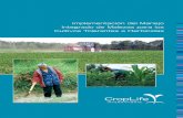 Implementación del Manejo Integrado de ... - HRAC ARGENTINA...Resistencia de malezas es la capacidad evolutiva de las malezas previamente susceptibles a un herbicida, de resistirlo