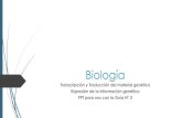 Biologíacolegiosantabarbara.cl/wp-content/uploads/2020/05/...3.Proceso de transcripción Todas las clases de ARN se forman por transcripción, que es una forma de copia del ADN diferente