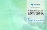 VISIÓN DE MEDIANO PLAZO DE LAS INVERSIONES EN EL MERCADO DE … · 2017. 10. 26. · Desarrollo de mercado. Nuevas inversiones para desarrollo del campo y extracción de las reservas