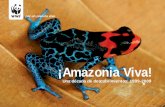 Amazon Alive juan-edited4 FINAL doble pag · de especies de invertebrados, ... emblemáticas como el Parque Nacional del Manu, el Parque Amazónico de Guyana, el Parque Nacio- ...