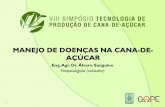 MANEJO DE DOENÇAS NA CANA-DE- AÇÚCARgape-esalq.com.br/wp-content/uploads/2019/03/Manejo... · MANEJO DE DOENÇAS NA CANA-DE-AÇÚCAR Eng. Agr. Dr. Álvaro Sanguino Fitopatologista