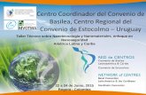 Centro Coordinador del Convenio de Basilea, Centro ... · El Centro Coordinador del Convenio de Basilea para América Latina y el Caribe (BCCC) con sede en Uruguay, opera desde 1998