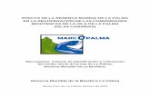 usuaris.tinet.cat ambiente/17.p… · Efecto de la Reserva Marina de La Palma en la recuperación de las comunidades bentónicas . Financiación . Consorcio Insular de la Reserva