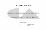 CONACULTA/LPN/11141001-019-10€¦  · Web viewSala de Juntas No. 2 . del CONACULTA, ubicado en Avenida Paseo de ... CONACULTA pagará únicamente el importe correspondiente al Impuesto
