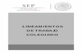 LINEAMIENTOS DE TRABAJO COLEGIADOcbtjuandediosbatiz.edu.mx/documentos/subdireccion/jornadas/... · generales de trabajo colegiado a desarrollar en los planteles, con el propósito