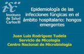 Juan Luis Rodríguez Tudela Servicio de Micología Centro ......Datos del Servicio de Micología. CNM. ISCIII.2009 S I/S-DD R EUCAST < 2 mg/L 4 mg/L > 8 mg/L CLSI < 8 mg/L