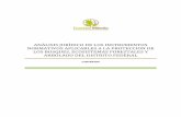 ANÁLISIS JURÍDICO – LEGISLATIVO DE LAS DECLARATORIAS DE ...€¦ · anÁlisis jurÍdico de los instrumentos normativos aplicables a la proteccion de los bosques, ecosistemas forestales