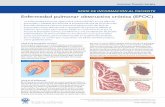 Enfermedad pulmonar obstructiva crónica (EPOC) · American Thoracic Society SERIE DE NFORMACIÓ A PACIENTE AmJRespirCritCareMedVol.171P3-P4,2005 • Online Version Updated September