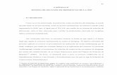 CAPÍTULO IV SISTEMA DE SOLUCIÓN DE DIFERENCIAS DE LA …catarina.udlap.mx/u_dl_a/tales/documentos/ledi/... · 4.2.1 Normas Sustantivas El artículo 1 del Acuerdo Antidumping establece
