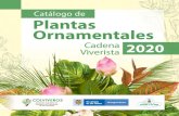 Catálogo de Plantas Ornamentales - Colviveros · 2019. 12. 18. · las plantas ornamentales, el afianzamiento de un mercado local y de mejor retorno para los productores y comercializadores