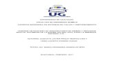 UNIVERSIDAD DE GUAYAQUIL FACULTAD DE INGENIERIA …repositorio.ug.edu.ec/bitstream/redug/32344/1/Tesis Cedeno Pincay … · universidad de guayaquil facultad de ingenieria quimica