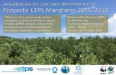 Actualización Yr1 Q3+: GEF-IW5 PMIS #5771 Proyecto ETPS ...cpps.dyndns.info/cpps-docs-web/planaccion/docs2017/julio-gem2-m… · Proyecto ETPS Manglares 2016-2018 Actualización