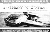 New CULTIVOS DE HUERTA ALCAfHOFA 0 ALCAU(IL · 2006. 10. 25. · CULTIVOS DE HUERTA, LA' ALCACHOFA O ALCAUCIL Por CESAR ARRONIZ SALA ((ngeriiero Agrór^omo) Los antiguos escritores