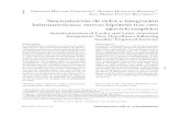 Sincronización de ciclos e integración latinoamericana ...trayectorias.uanl.mx/35/pdf/1_gonzales_hurtado_patino.pdf · retira en 1976. La Asociación Latinoamericana de Integración