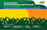 CARTA INFORMATIVA - cincae.orgcincae.org/wp-content/uploads/2013/04/Año-9-No.-3-4.pdf · Efecto de la interferencia de la paja colorada (Panicum fasciculatum) sobre la producción