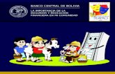 BANCO CENTRAL DE BOLIVIA · mas de educación financiera sobre: a. Los servicios que ofrecen, sus usos, bene - ficios y riesgos que representan su contra-tación. b. Los derechos