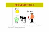 BIOENERGETICA 2 - 2014-II [Modo de compatibilidad] · BIOENERGETICA II. PRODUCCION DE CALOR Origen a) Producción metabólica: reacciones bioquímicas exotérmicas. b) Producción