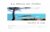 La Illeta de l Olla - ecologialitoral.comecologialitoral.com/files/1614/1232/4120/Quadern_LOLLA.pdf · 1 1 INTRODUCCIÓ La mar que banya les nostres costes és la Mediterrània. A