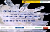 Osalan€¦ · Tïtulo: Síntesis de la evidencia científica relativa al riesgo de sufrir cáncer de pulmón por la exposición laboral a sílice cristalina Grupo de trabajo de sílice