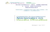 TERCERA COMUNICACIÓN NACIONAL DE CAMBIO CLIMATICOcambioclimatico.ineter.gob.ni/bibliografia... · 2018. 1. 15. · TERCERA COMUNICACIÓN NACIONAL DE CAMBIO CLIMATICO Managua, año