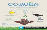 CO2RUNA - A Coruña · 2020. 9. 8. · 2) a universalización do microchip para a devolución aos seus donos (en extravíos), o control e responsabilidade sobre as mascotas 3) o control