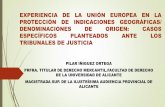 Experiencia de la UE en la protección de Indicaciones Geográficas · 2020. 1. 3. · contenido de la resoluciÓn judicial avance importantísimo en la interpretación del concepto