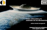 Cráter Chicxulub y la extinción de los dinosaurios · 2017. 11. 23. · Chicxulub multiring crater Bouguer gravity anomaly Chicxulub - Multiring basin, central peak-ring - Diameter: