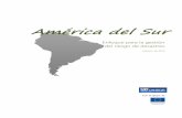 América del Sur©rica_del_Sur_-_Enfoque... · 2015. 2. 26. · América del Sur en los próximos dos años 75 . 4 5.2.4. Áreas que requieren apoyo financiero para avanzar con la