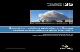 Quema de residuos agrícolas en Sonora€¦ · Citar como: CCA (2018), Quema de residuos agrícolas en Sonora: expediente de hechos relativo a la petición SEM-16-001, Comisión para