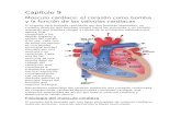 guaracheamericano.files.wordpress.com€¦  · Web viewCapítulo 9. Músculo cardíaco: el corazón como bomba y la función de las válvulas cardíacas. El corazón está formado