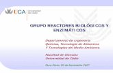 GRUPO REACTORES BIOLÓGICOS Y ENZIMÁTICOS · Proyectos I+D+i: Estudio cinético del proceso de oxidación de sulfato ferroso por Thiobacillus ferrooxidans. Aplicación al diseño
