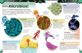 microbios! - liberespacio.com DK.pdf · 8 9 ¡Hola, microbios! ¡Saluda a los bichitos más pequeños de la Tierra! Aquí tienes los seis tipos de microbios más habituales. Estas