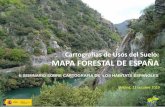Presentación de PowerPoint€¦ · II Seminario de cartografía de hábitats españoles. 22 octubre 2019 IGN/SIOSE (Ministerio de Fomento): - Se han llevado a cabo varias reuniones