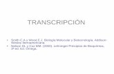 FUNCIONES DEL ARNinvestigacion.izt.uam.mx/aeroespacial/ocwbq311i/... · Fig. 3.8 Estructura secundaria propuesta del extremo 3' de los transcritos de mRNA del operón trp de E. coli.