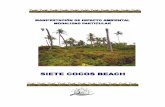 Siete Cocos Beach. - Gobsinat.semarnat.gob.mx/dgiraDocs/documentos/qroo/estudios/2005/2… · Siete Cocos Beach Manifestación de Impacto Ambiental Modalidad Particular 3 ÍNDICE