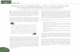 Reportes Integrados  y los retos de su implementación ... · oPINION INCP El Contador Pblico 60 Reportes Integrados  y los retos de su implementación en Colombia