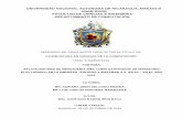 UNIVERSIDAD NACIONAL AUTÓNOMA DE NICARAGUA, …repositorio.unan.edu.ni/1316/1/48491.pdf · 2016. 3. 10. · universidad nacional autÓnoma de nicaragua, managua unan-rurd facultad