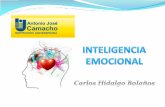 ¿Qué es la inteligencia?...2. Autocontrol. Capacidad para controlar las emociones. La conciencia de uno mismo es una habilidad básica que nos permite controlar nuestros sentimientos