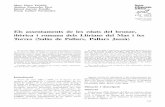 Els assentaments de les edats del bronze, ibèrica i romana ...€¦ · 163 Universitat de Lleida ISSN: 1131-883-X 23 2013 Pàgs. 163-200 En els anys 2003 i 2004 una intervenció