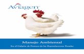 Manejo Ambiental - Aviagen | Aviageneu.aviagen.com/tech-center/download/289/Aviagen...para la función reproductiva. Incluso durante el pico de producción, el requerimiento de energía