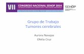 Grupo de Trabajo Tumores cerebrales...Representante de Neurocirugia José Hinojosa. Hospital 12 de octubre. Madrid. Representante de Neuropatología Teresa Ribalta. Hospital Clínic