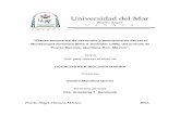 Universidad del Marcoralito.umar.mx/tesisL/LBM/CD639.pdfUniversidad del Mar Puerto Ángel O A X A C A “Etapas tempranas de desarrollo y asentamiento del coral Montastraea faveolata