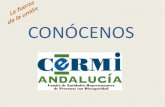 Cartera de Servicios de CERMI ANDALUCIA...2019/07/03  · Presentación El Comité de Entidades Representantes de Personas con Discapacidad en Andalucía (CERMI – Andalucía) en