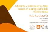 Adaptación y resiliencia en los Andes basados en la ......de adaptación agrícola en los Andes 0.0 0.5 1.0 1.5 2.0 2.5 3.0 3.5 4.0 4.5 5.0 0 250 500 750 1000 1250 1500 1750 2000