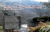 El Parque Regional del Curso Medio del Río Guadarrama y su ...guadarramariodearena.org/wp-content/uploads/2019/... · Geológicamente, la zona en la que se encuadra el parque regional
