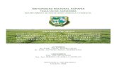 TRABAJO DE TESIS - UNAcenida.una.edu.ni/Tesis/tnf30r621.pdf · trabajo de tesis evaluacion del comportamiento agronomico de doce materiales geneticos de arroz oryza sativa(l.) en